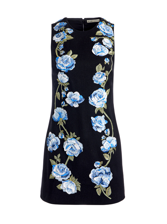 BLACK MULTI-CLYDE MINI DRESS