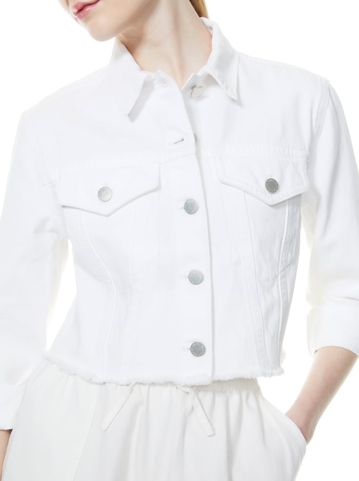 KENDALL CROPPED BOXY JACKET - VINTAGE SUGAR image 3 - Alice And Olivia