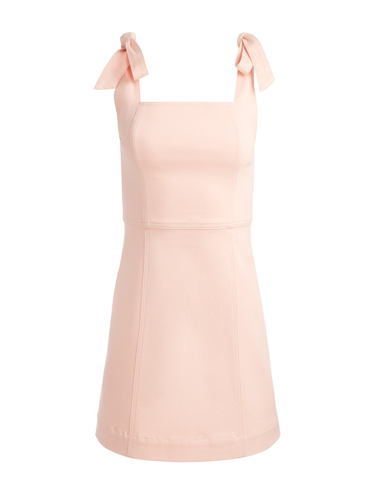 PINK BLOOM-MARYANN MINI DRESS