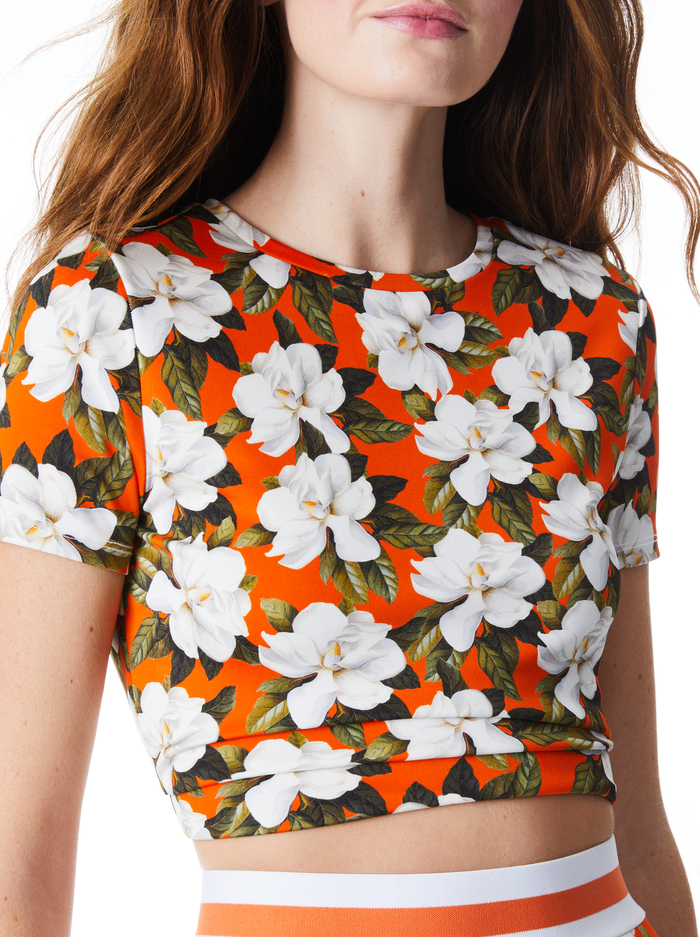 CINDY CROPPED TEE - BLOSSOM image 3 - Alice And Olivia