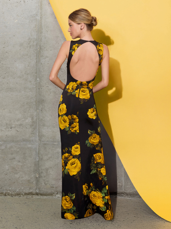 ROSEHIPS-DELORA OPEN BACK MAXI DRESS