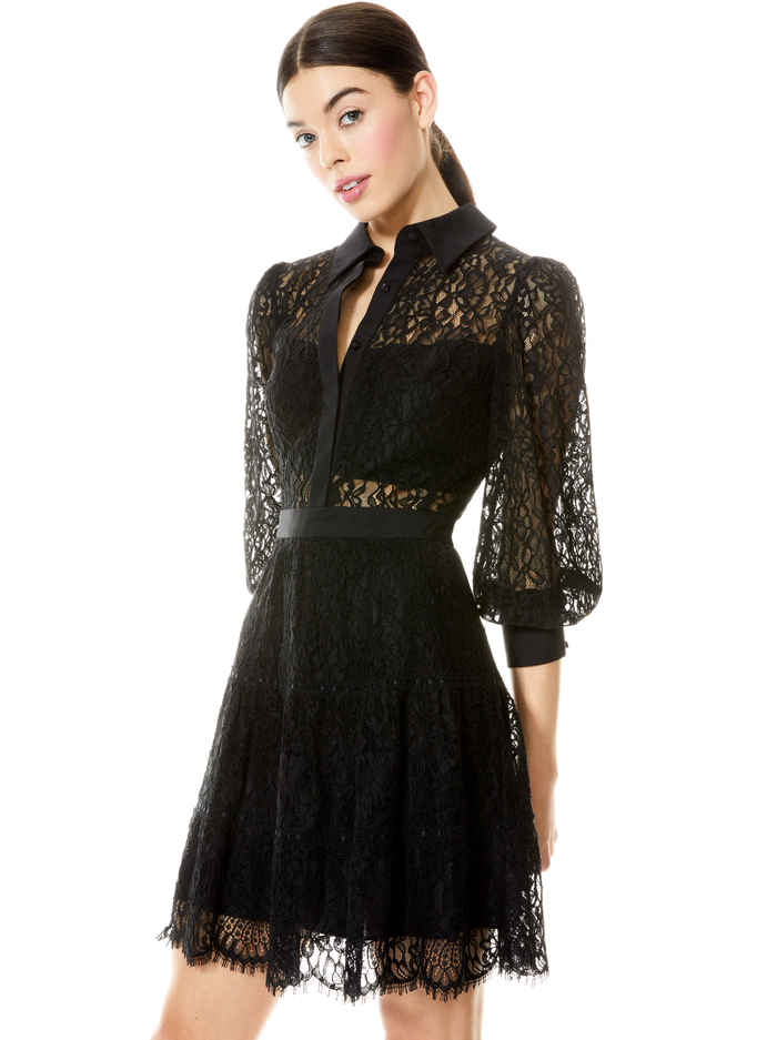 ANAYA COLLARED LACE MINI DRESS - BLACK image 3 - Alice And Olivia