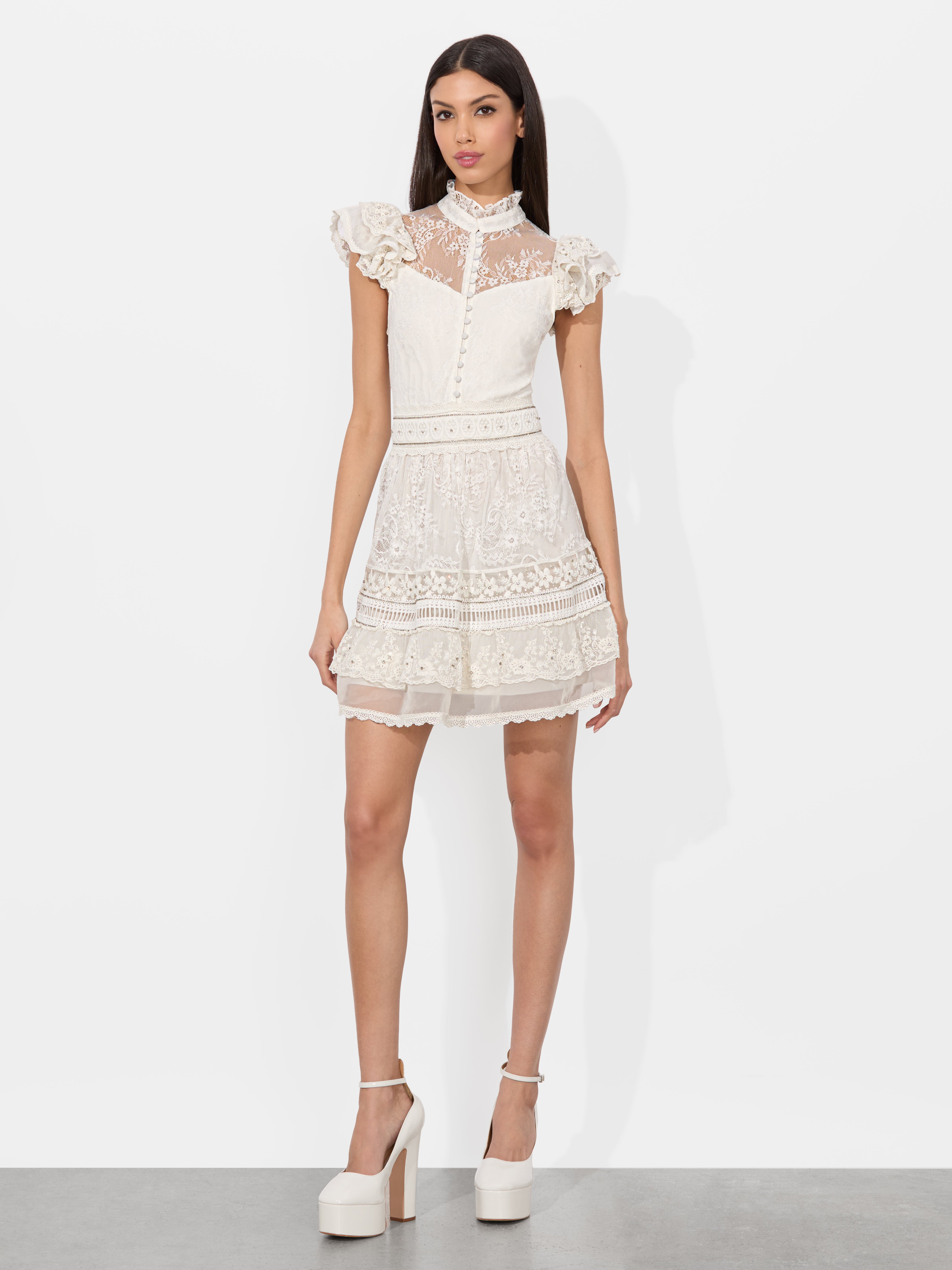 Alice And Olivia Vernita Embroidered Mini Dress