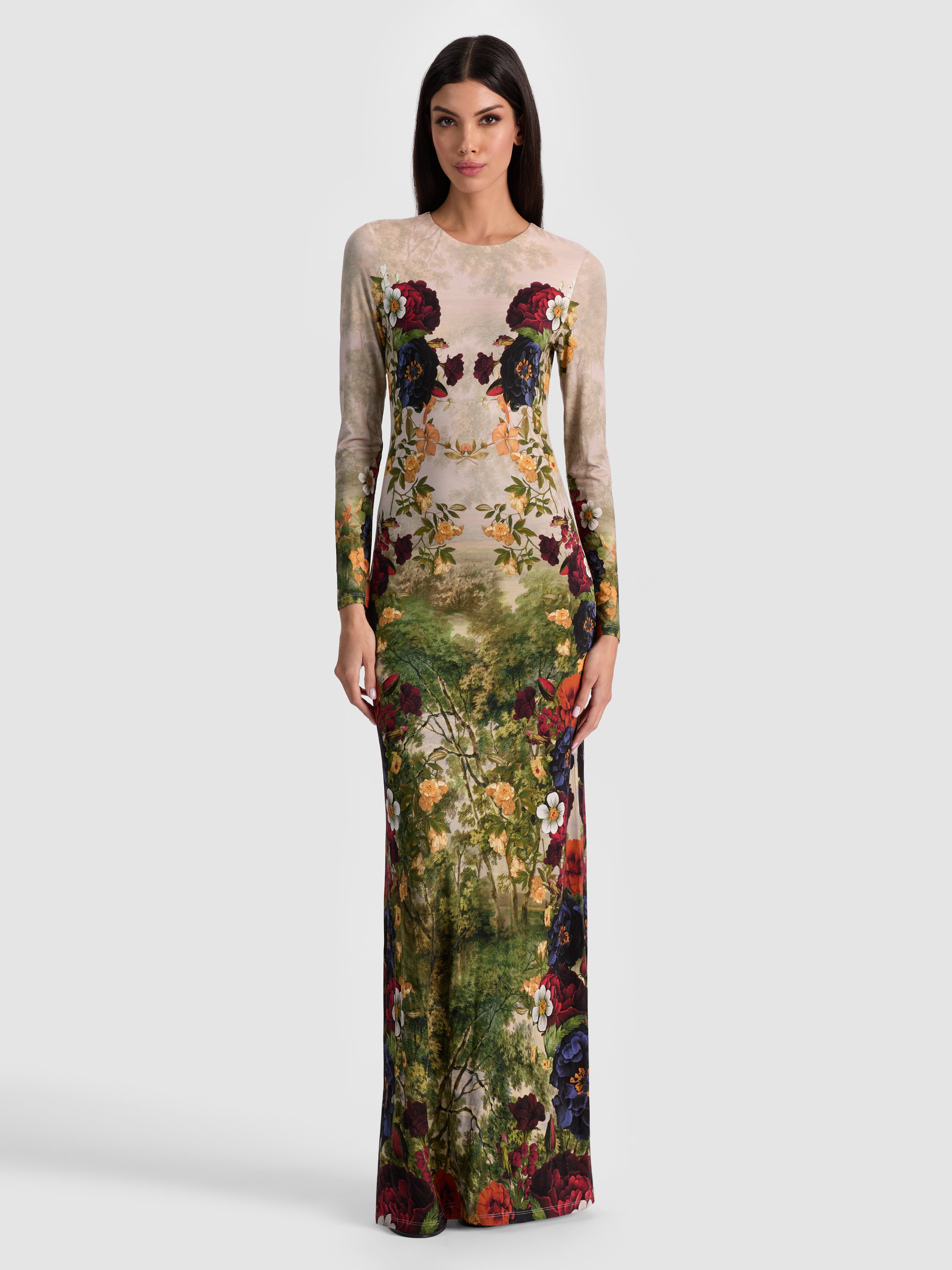 Alice And Olivia Delora Floral-print Long-sleeve Maxi Dress In Brown