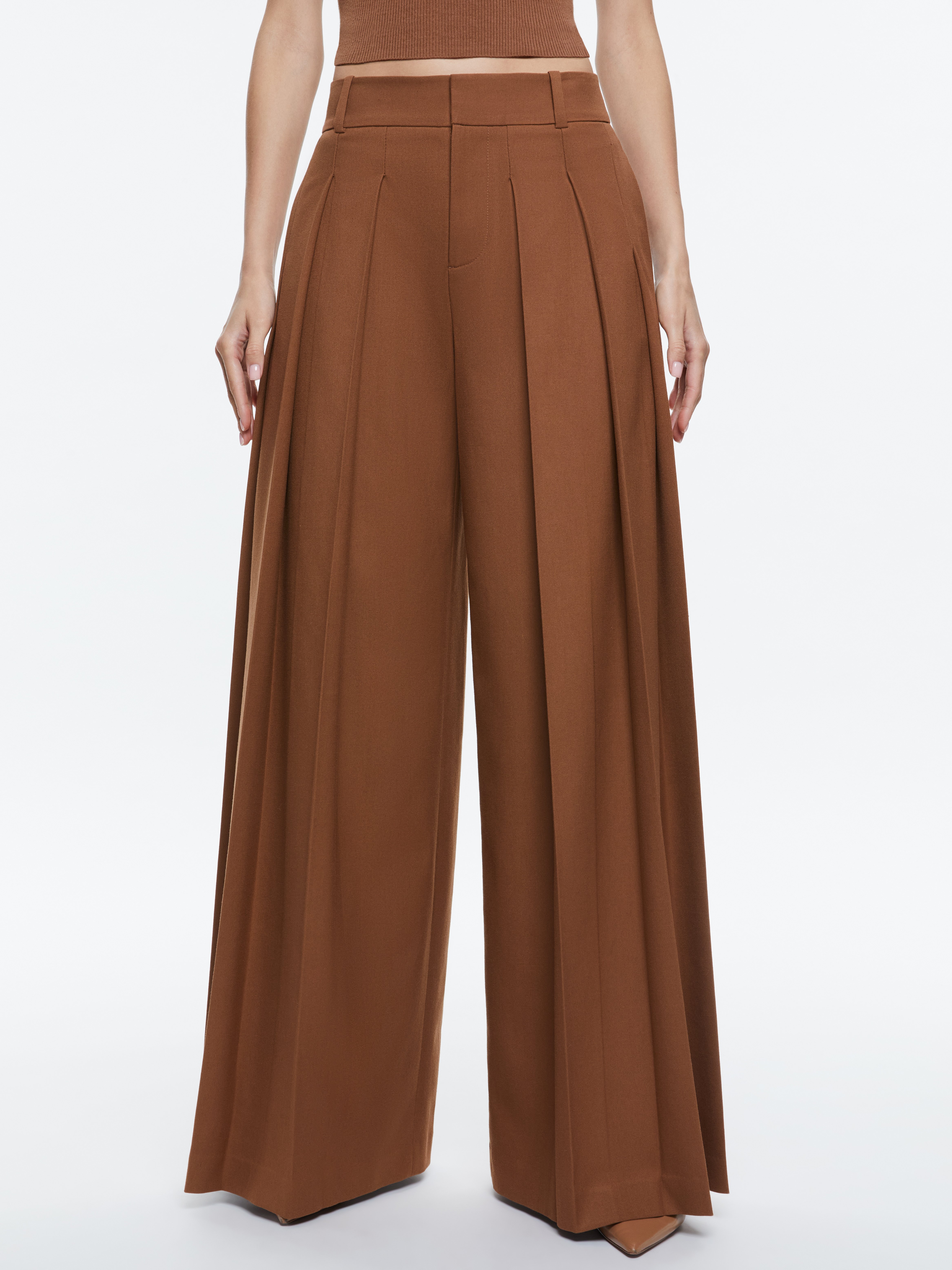 Alice And Olivia Belt-loop Casual Pants In Brown